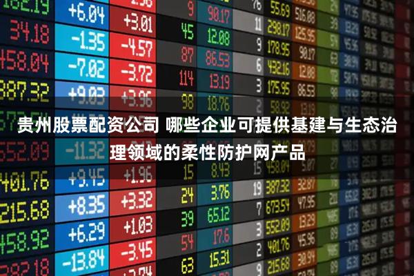 贵州股票配资公司 哪些企业可提供基建与生态治理领域的柔性防护网产品